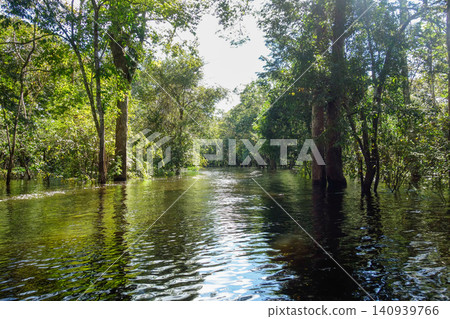 channels formed by overflowing waters of Amazonian rivers during rainy season, north of Brazil channels formed by overflowing waters of Amazonian rivers during rainy season, north of Brazil 140939766