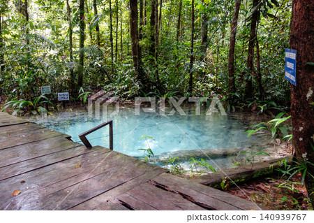 Beautiful spring of fresh water into Amazon rainforest. Presidente Figueiredo, Amazonas, Brazil Beautiful spring of fresh water into Amazon rainforest. Presidente Figueiredo, Amazonas, Brazil 140939767