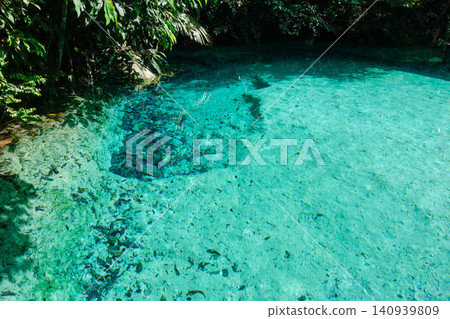 turquoise and crystalline spring pool of fresh water into Amazon rainforest. Presidente Figueiredo, Amazonas, Brazil turquoise and crystalline spring pool of fresh water into Amazon rainforest. Presidente Figueiredo, Amazonas, Brazil 140939809