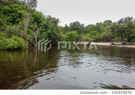 sailing through flooded forests of Brazilian Amazon rainforest. sailing through flooded forests of Brazilian Amazon rainforest. 140939876