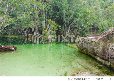 lake with crystal clear waters inside untouched amazon rainforest, Brazil lake with crystal clear waters inside untouched amazon rainforest, Brazil 140939905