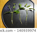 薄荷 140939974