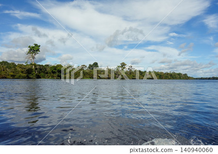 calm waters of Juma River in flooded Amazon rainforest, rainy season. Near Manaus, Brazil calm waters of Juma River in flooded Amazon rainforest, rainy season. Near Manaus, Brazil 140940060