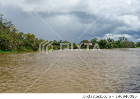 Flooded banks of Amazonas River in the Amazon rainforest. rainy season. Near Manaus, Brazil Flooded banks of Amazonas River in the Amazon rainforest. rainy season. Near Manaus, Brazil 140940080
