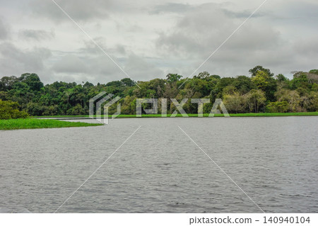 calm waters in flooded Amazon rainforest, rainy season. Amazonas, Brazil. calm waters in flooded Amazon rainforest, rainy season. Amazonas, Brazil. 140940104