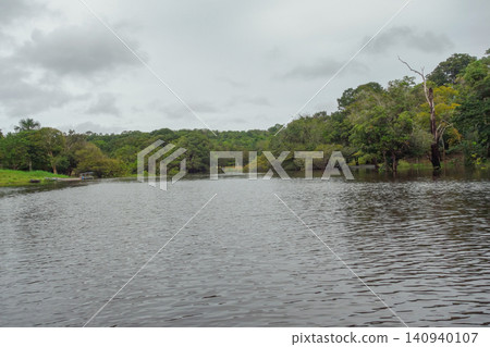 landscape of flooded Amazon rainforest and riverbanks. Amazon basin. Amazonas, Brazil landscape of flooded Amazon rainforest and riverbanks. Amazon basin. Amazonas, Brazil 140940107