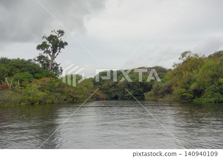 landscape of flooded Amazon rainforest and riverbanks. Amazon basin. Amazonas, Brazil 140940109