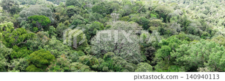panoramic of beautiful Amazon rainforest in Brazil. pristine and untouched vegetation panoramic of beautiful Amazon rainforest in Brazil. pristine and untouched vegetation 140940113