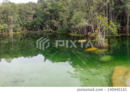 lake with crystal clear waters inside untouched amazon rainforest, Brazil lake with crystal clear waters inside untouched amazon rainforest, Brazil 140940181