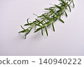 《迷迭香，香草，芳香草本植物，配料，白色背景，烹飪配料，留白》 140940222