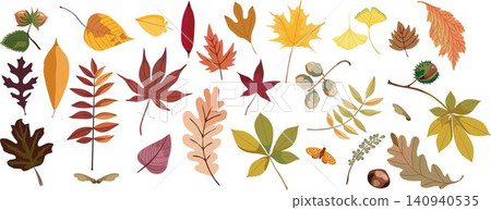 Autumn leaves and forest fruits collection vector illustration Autumn leaves and forest fruits collection vector illustration 140940535