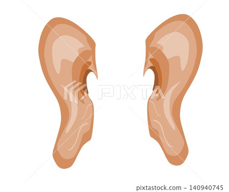 Human ears vector illustration pair left and right isolated on white background Human ears vector illustration pair left and right isolated on white background 140940745