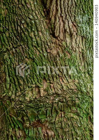 A beautiful abstract background featuring the natural texture of wood and lush green moss, showcasing various tree bark designs. Perfect for natural and organic designs. A beautiful abstract background featuring the natural texture of wood and lush green moss, showcasing various tree bark designs. Perfect for natural and organic designs. 140940903