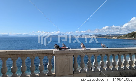 Pigeons sitting on the balustrade in front of the sea on a sunny day Pigeons sitting on the balustrade in front of the sea on a sunny day 140941093