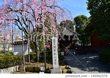日本東京淺草,春天:淺草寺最古老的木造建築六角堂,垂枝櫻花盛開,天空湛藍美麗。 日本東京淺草,春天:淺草寺最古老的木造建築六角堂,垂枝櫻花盛開,天空湛藍美麗。 140942478