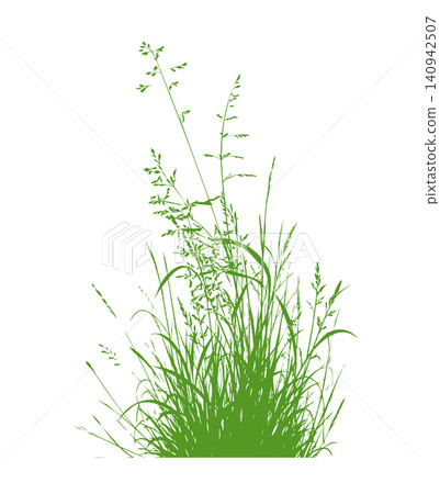 Grass green silhouette vector isolated on white background nature design illustration of grass plant pattern greenery artwork Hand drawn. Not AI, vector illustration. Grass green silhouette vector isolated on white background nature design illustration of grass plant pattern greenery artwork Hand drawn. Not AI, vector illustration. 140942507