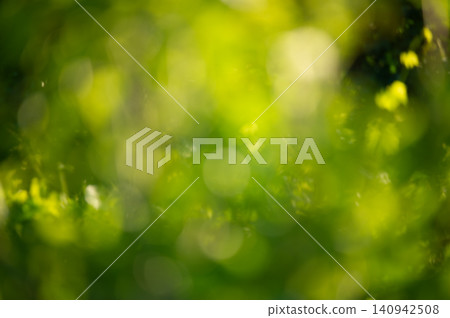 Defocused abstract natural background. Green defocused lights of plants. Blurred plants. Defocused abstract natural background. Green defocused lights of plants. Blurred plants. 140942508