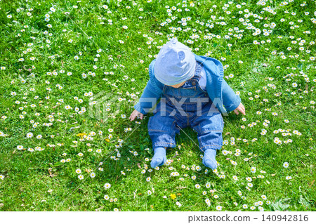 boy up to one year old European appearance sits in the summer on a green meadow with small white flowers dressed in denim overalls and a light cap . High quality photo 140942816