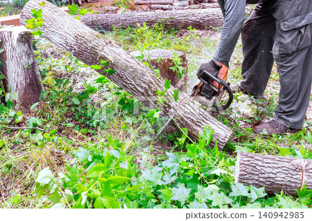 Handyman uses chainsaw to cut through log in forest after tornado 140942985