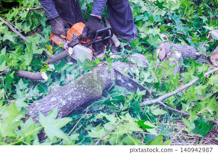 Forest operates chainsaw to cut through tree branches in forest area leaves cover ground after heavy storm Forest operates chainsaw to cut through tree branches in forest area leaves cover ground after heavy storm 140942987
