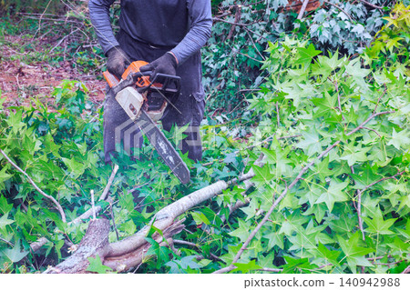 Worker operates chainsaw to cut branches fallen trees while surrounded by green leaves in woods. Worker operates chainsaw to cut branches fallen trees while surrounded by green leaves in woods. 140942988