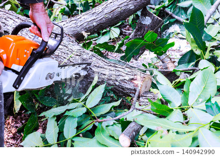 Handy worker uses chainsaw to cut branches in backyard filled with green plants tree debris 140942990