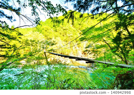 禦倉橋懸索橋在秋山鄉的蔥綠蔭中搖曳。 禦倉橋懸索橋在秋山鄉的蔥綠蔭中搖曳。 140942998