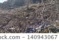After logging 140943067