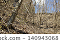 Trees growing on a slope 140943068