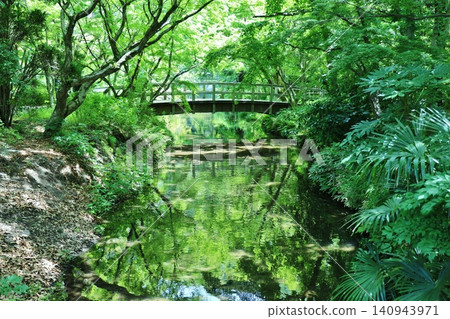 A clear stream like a Monet painting A clear stream like a Monet painting 140943971