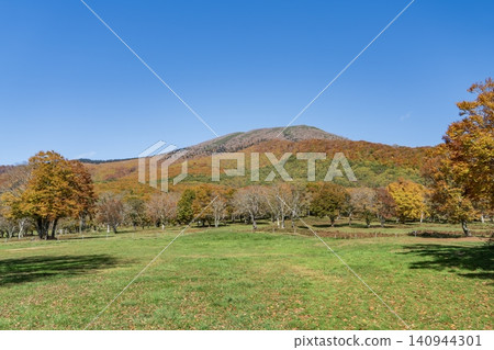 Autumn leaves trees and blue sky Autumn leaves trees and blue sky 140944301