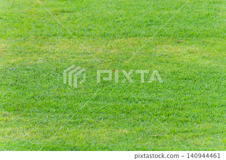Fresh green grass lawn evenly trimmed natural turf creating clean seamless texture ideal for backgrounds landscaping garden design sports fields outdoor projects 140944461