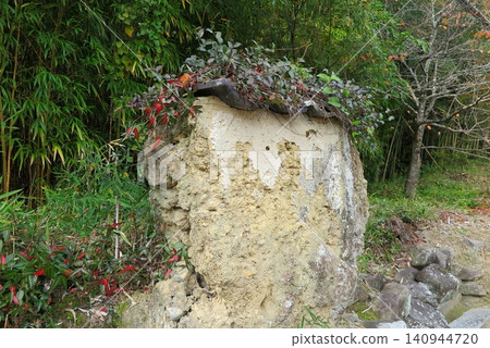 A part of the earthen wall of a ruined temple remains in a corner of a bamboo grove. A part of the earthen wall of a ruined temple remains in a corner of a bamboo grove. 140944720