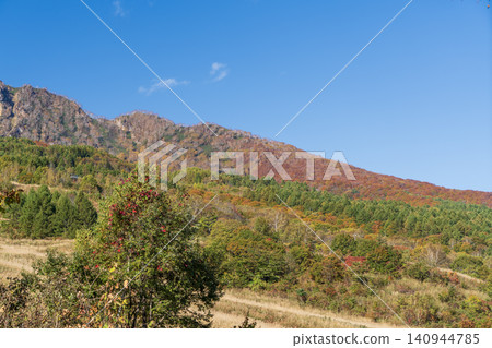 Autumn foliage at Suginohara, Mt. Myoko Autumn foliage at Suginohara, Mt. Myoko 140944785