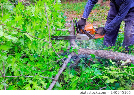 Handyman uses chainsaw to cut fallen tree branch while surrounded by green plants trees in forest. Handyman uses chainsaw to cut fallen tree branch while surrounded by green plants trees in forest. 140945105