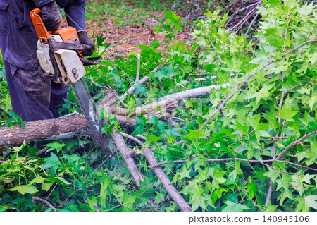 Worker uses chainsaw to cut branches while clearing green foliage in wooded area after heavy storm Worker uses chainsaw to cut branches while clearing green foliage in wooded area after heavy storm 140945106
