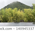 Scenery with mountain and bamboo grove 140945337