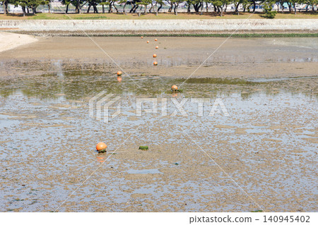 兵庫縣高砂海濱公園(Mukojima Park)內的浮標 兵庫縣高砂海濱公園(Mukojima Park)內的浮標 140945402