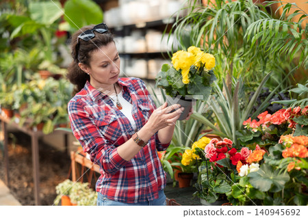 Before buying, woman examines flower of begonia at flowers market Before buying, woman examines flower of begonia at flowers market 140945692