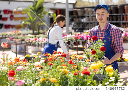 Young male salesman holding persian buttercup 140945782