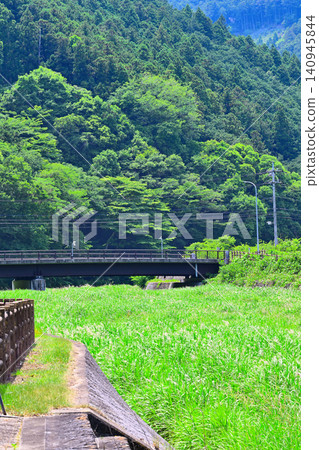 長野河畔,靠近星野河考古公園,栃木市星野町,雜草叢生 長野河畔,靠近星野河考古公園,栃木市星野町,雜草叢生 140945844