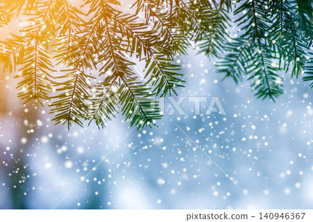Pine tree branches with green needles covered with deep fresh clean snow on blurred blue outdoors copy space background. Merry Christmas and Happy New Year greeting postcard. Soft light effect. Pine tree branches with green needles covered with deep fresh clean snow on blurred blue outdoors copy space background. Merry Christmas and Happy New Year greeting postcard. Soft light effect. 140946367