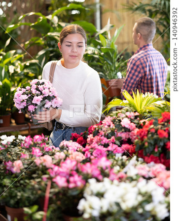 Young woman choosing azalea in flower shop 140946392
