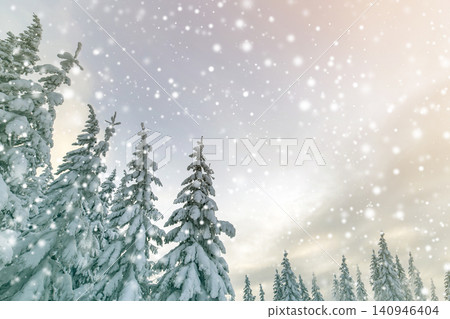 Beautiful winter mountain landscape. Tall spruce trees covered with snow in winter forest and cloudy sky background. 140946404