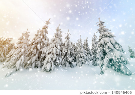 Beautiful winter mountain landscape. Tall spruce trees covered with snow in winter forest and cloudy sky background. Beautiful winter mountain landscape. Tall spruce trees covered with snow in winter forest and cloudy sky background. 140946406