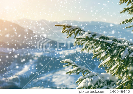 Pine tree branches with green needles covered with deep fresh clean snow on blurred blue outdoors copy space background. Merry Christmas and Happy New Year greeting postcard. Soft light effect. Pine tree branches with green needles covered with deep fresh clean snow on blurred blue outdoors copy space background. Merry Christmas and Happy New Year greeting postcard. Soft light effect. 140946440