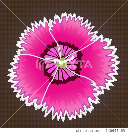 Illustration of a dianthus with a background 140947463