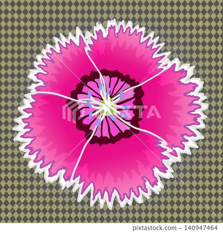 Illustration of a dianthus with a background 140947464