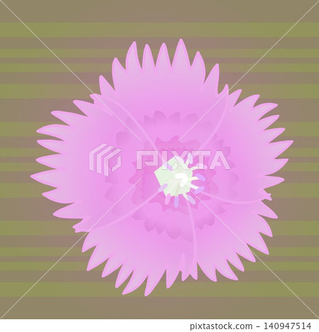 Illustration of a dianthus with a background Illustration of a dianthus with a background 140947514