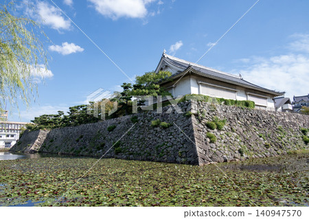 Kishiwada Castle, full view of the second bailey Kishiwada Castle, full view of the second bailey 140947570